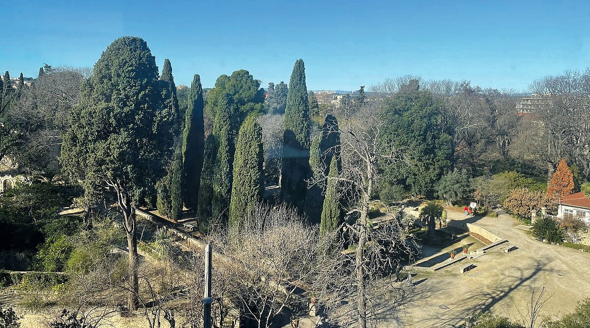 hippokrates_botanischer_garten.jpg hippokrates_botanischer_garten.jpg