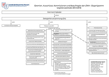 Abbildung des Organigramms Gremien, Ausschüsse und Kommissionen