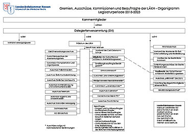 Abbildung des Organigramms Gremien, Ausschüsse und Kommissionen