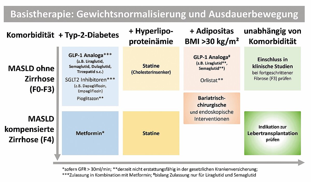 cme_fettleber_abb_2.jpg