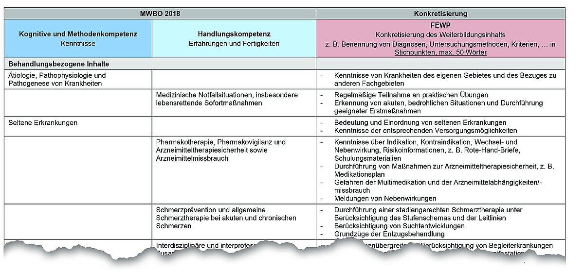 Beispiel aus den Fachlich empfohlenen Weiterbildungsplänen – (Muster-)FEWP der BÄK, hier: "Allgemeine Inhalte der Weiterbildung für Abschnitt B..." Bsp_Muster_FEWP.jpg