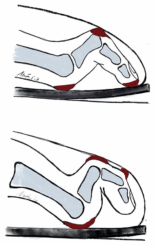 cme_abb_17.jpg cme_abb_17.jpg