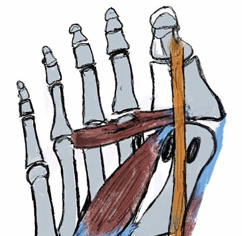 cme_abb_3.jpg cme_abb_3.jpg