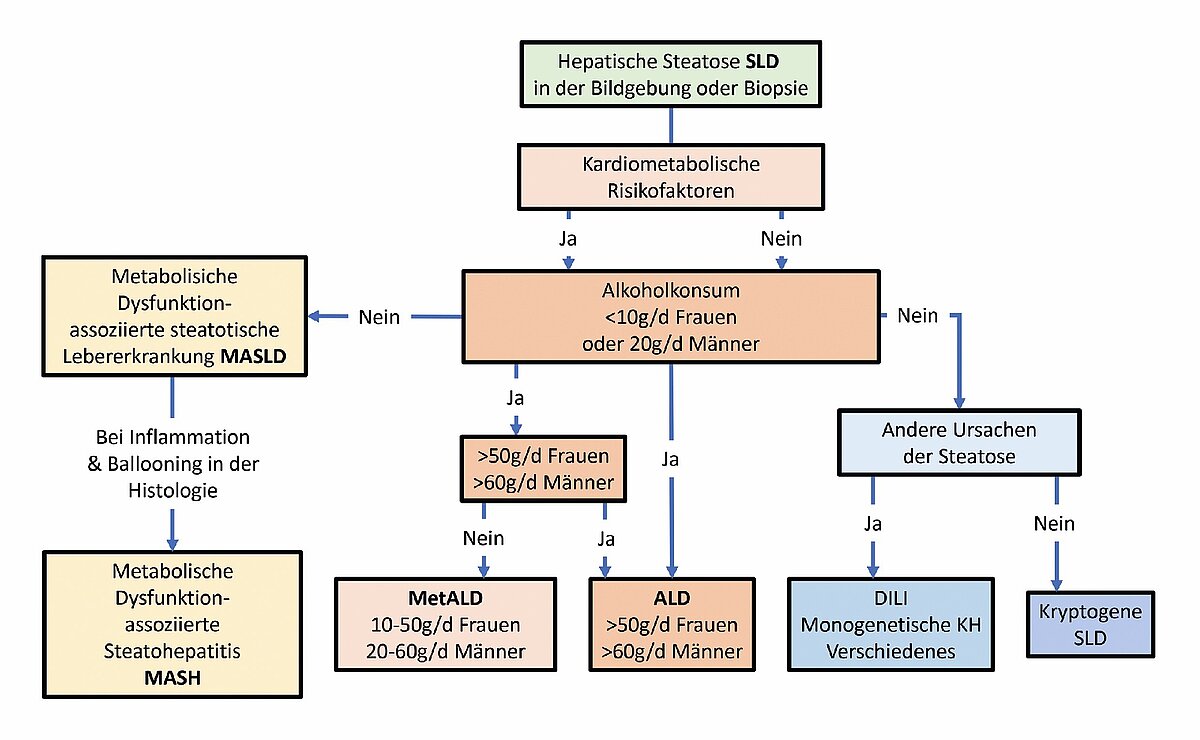 cme_fettleber_abb_1.jpg