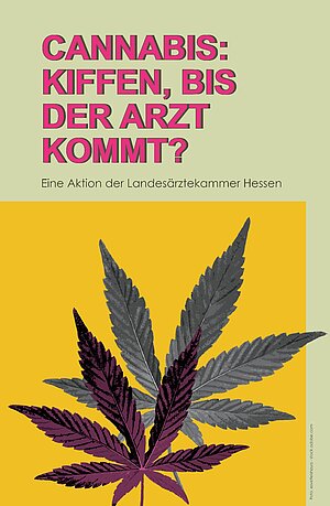 70_jahre_laekh_cannabis.jpg