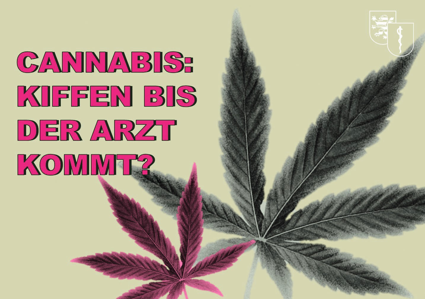 cannabis_kiffen_bis_der_arzt_kommt.jpg