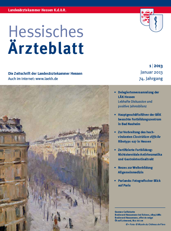 HAE Ausgabe 1/2013