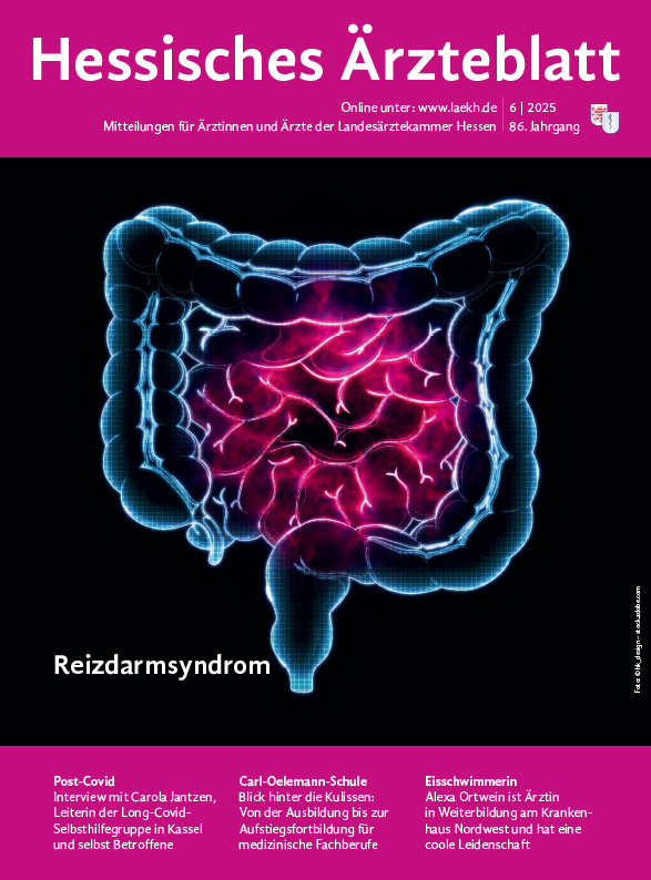 HAE Ausgabe 6/2025