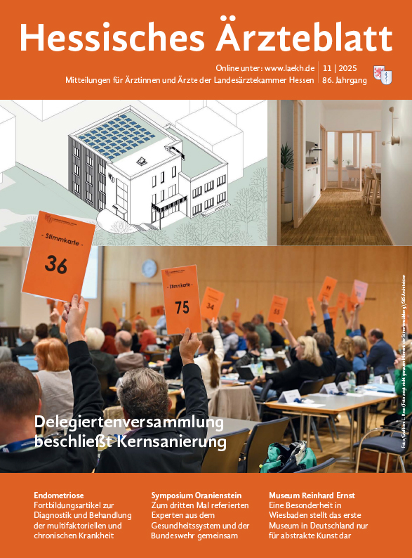 HAE Ausgabe 11/2025