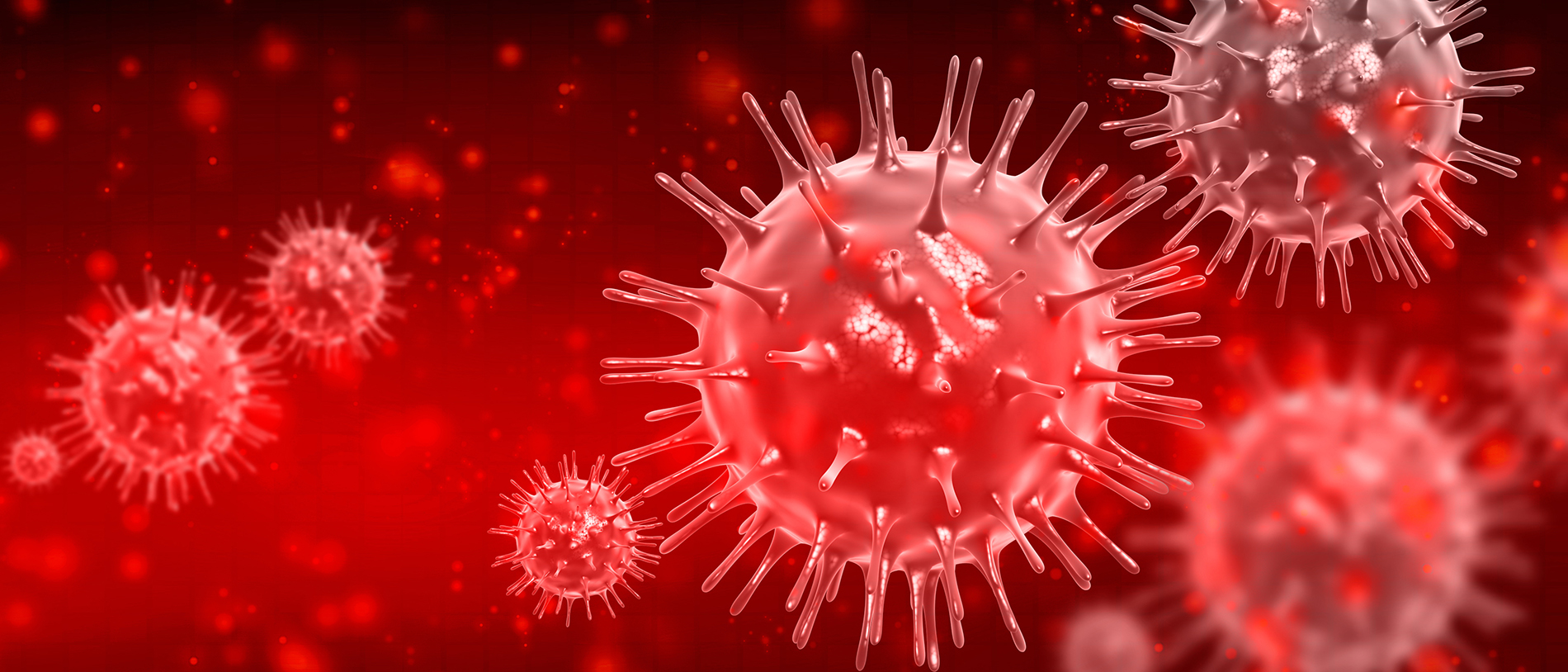 Informationen zum Coronavirus Startbild: 3D-Abbildungen von mehreren SARS-COV2-Viren