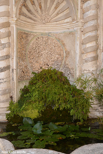 Foto vom Heilkräutergarten Il giardino della Minerva