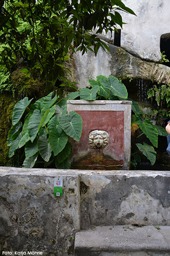 Foto von einem Brunnen im Giardino della Minerva