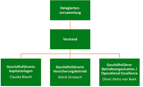 Schaubild: Die Organe des Versorgungswerks